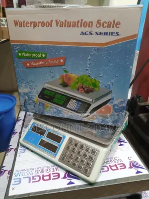 Commercial Precise Electric 40kgx5g Scale