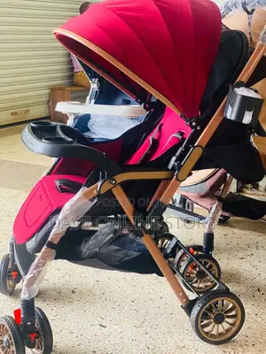 2 in 1 Luxurious Stroller.