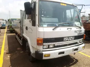 Isuzu Truck Ordinary