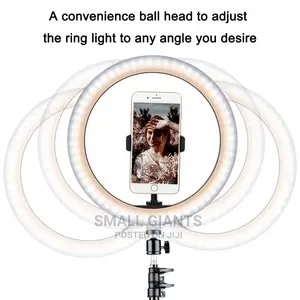 8" Ring Fill Light With Stand