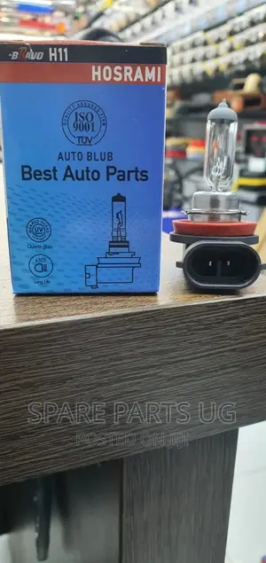 H11 Halogen Bulbs