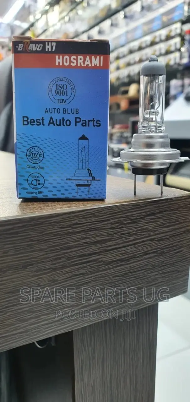 H7 Halogen Bulbs