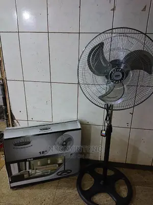 Crown Stand Fan