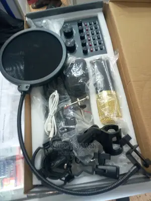 Studio Microphone/Recording Studio Microphone