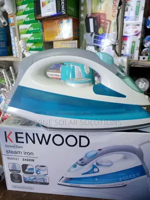 Steam Iron