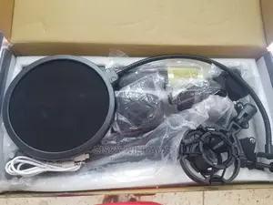 Live Broadcast Microphone/Recording Microphone/Condenser Mic