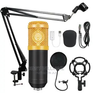 Professional Recording Microphone/Condenser Microphone