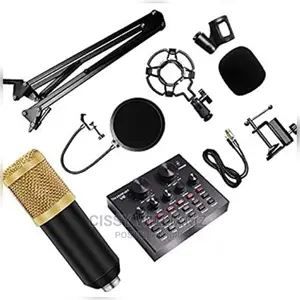 Live Broadcast Equipment/Condenser /Recording Microphone