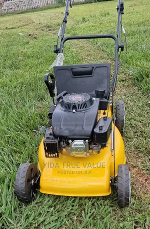Lawn Mower Upspirit