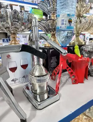 Orange Fruit Juicer