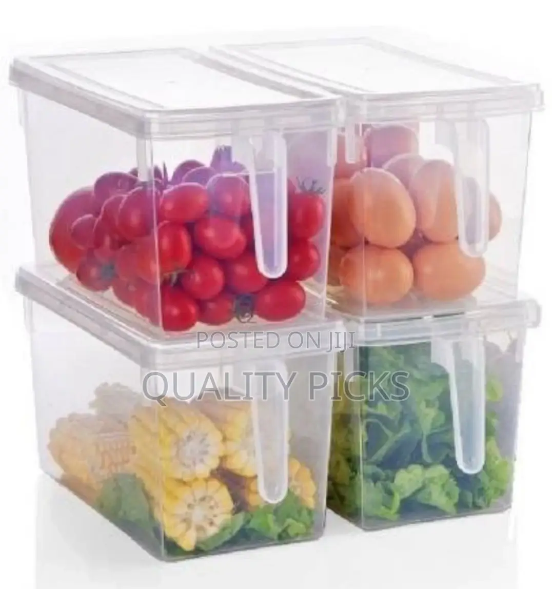 Plastic Fridge Container