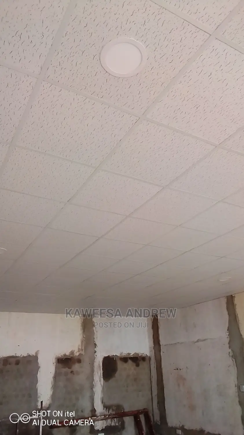 Gypsum and Suspended Ceiling