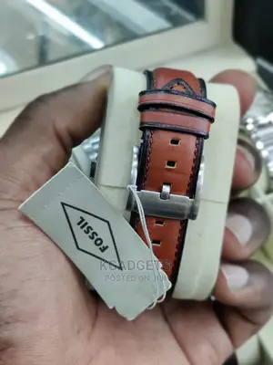 Fossil Grant Watch
