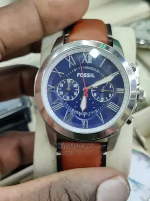 Fossil Grant Watch