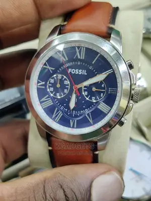 Fossil Grant Watch