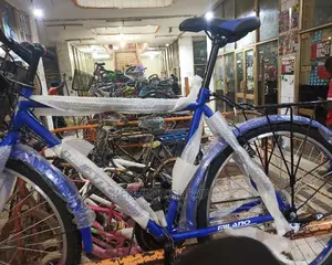 New Bike for Adults