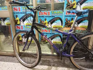 Adult Bicycle