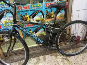 Bikes for Adults,