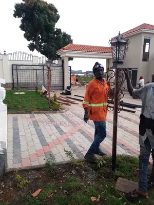Garden Lights for Your Compound