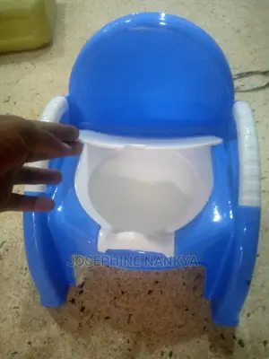 Potty Chair, With Cover, Blue