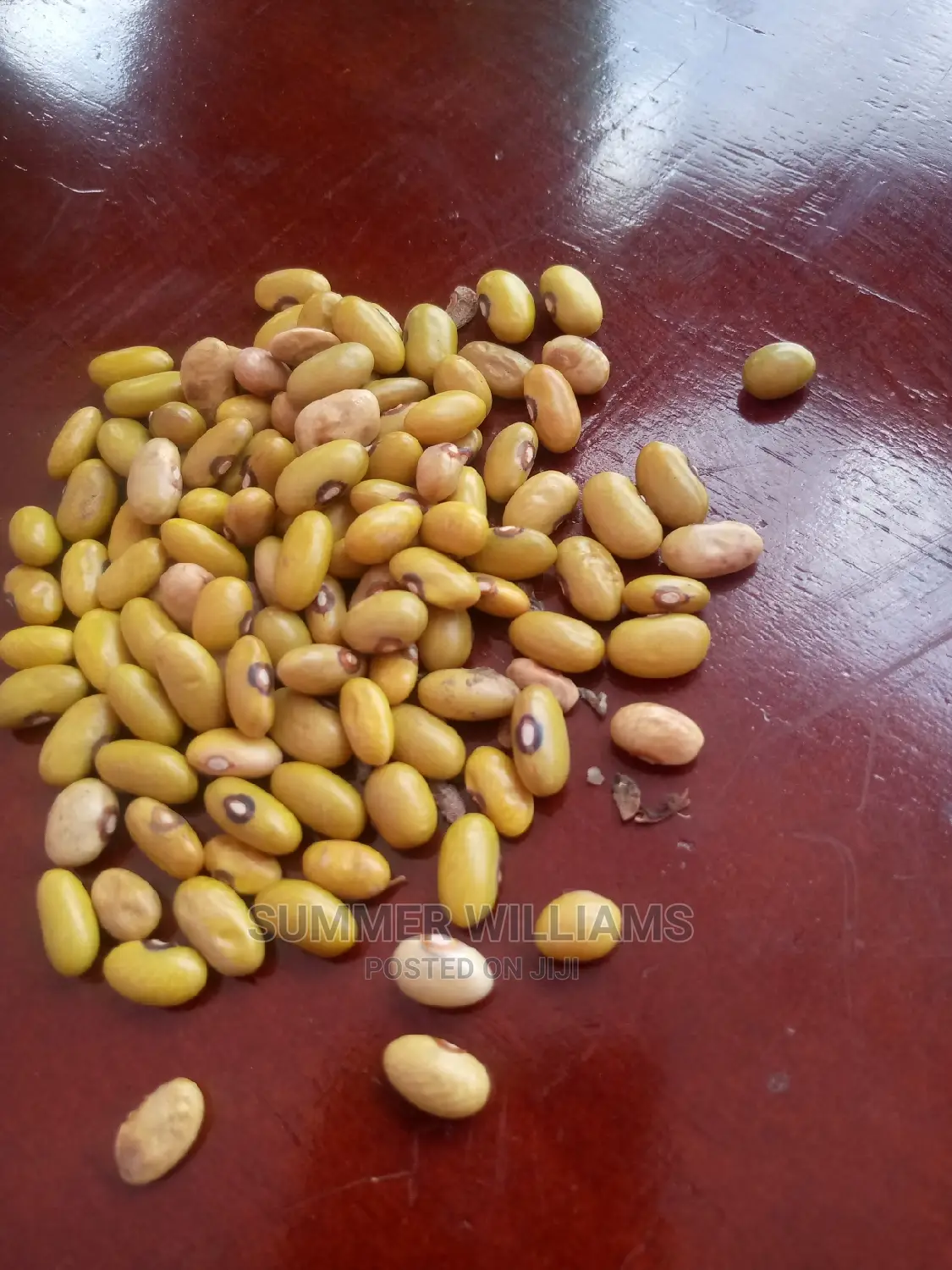 All Types of Beans