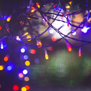 50 Meters Christmas Lights