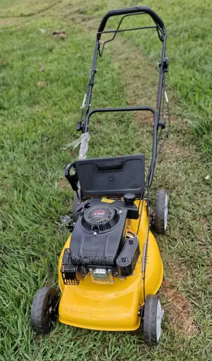 Lawn Mower With Gasoline Engine