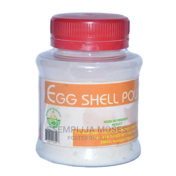 Egg Shell Powder