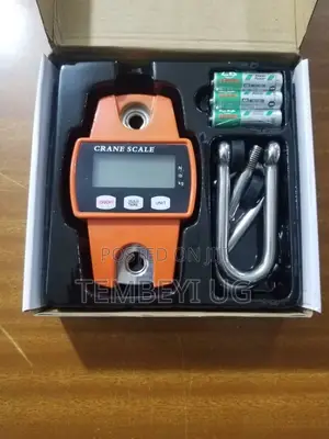 300kg Crane Weighing Scale