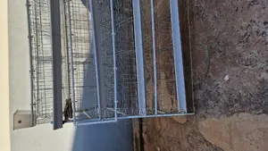 Chicken Cages