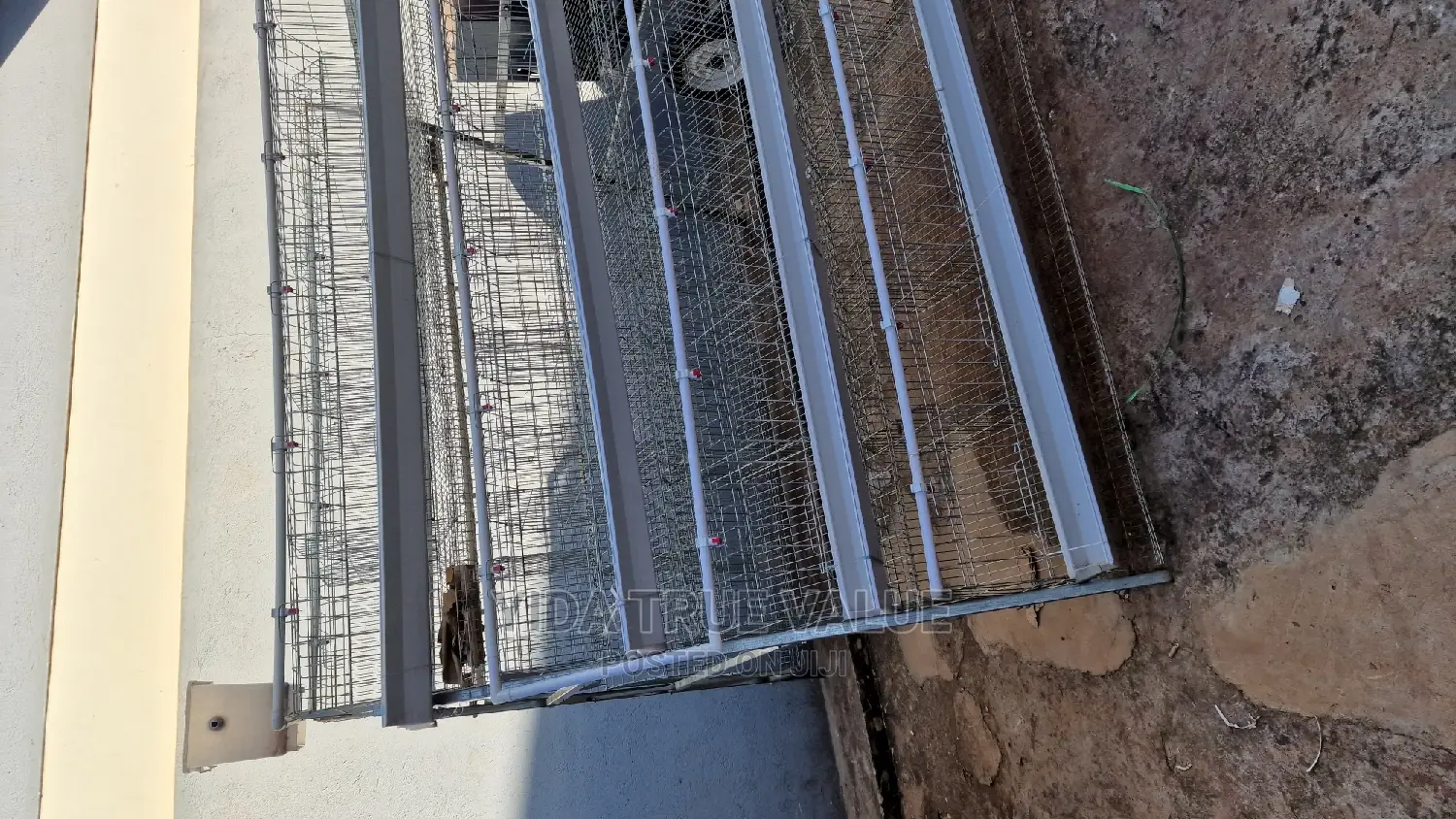 Chicken Cages
