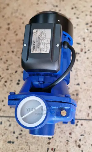 Surface Water Pump 2 Hp