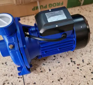 Surface Water Pump 2 Hp