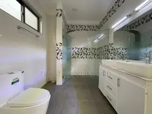 Tiling Toilet 