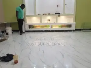 Tiling Toilet 