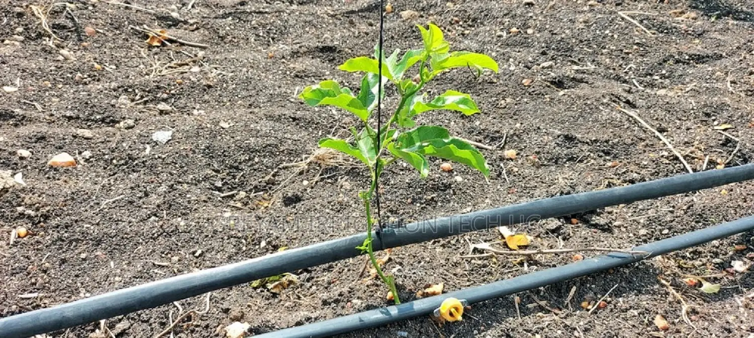 Passion Fruit Drip Irrigation Kit for 1 Acre