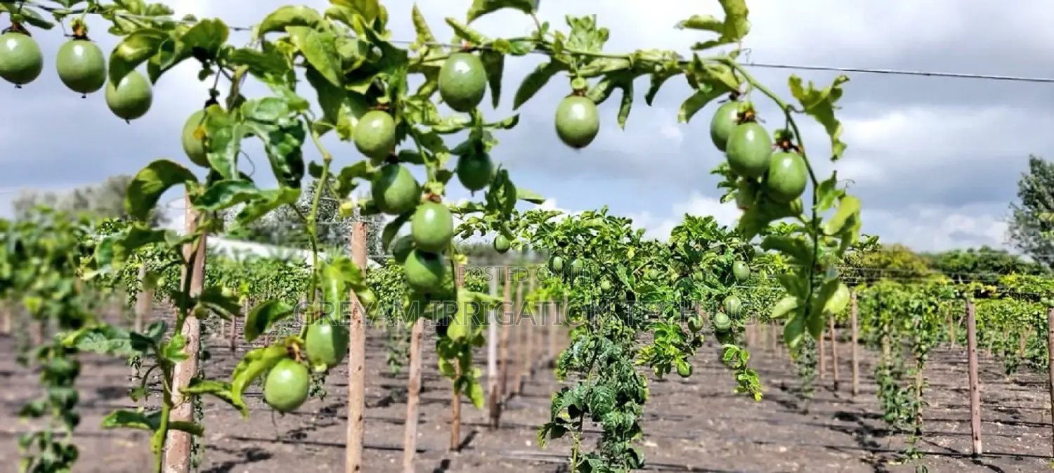 Passion Fruit Drip Irrigation Kit for 1 Acre