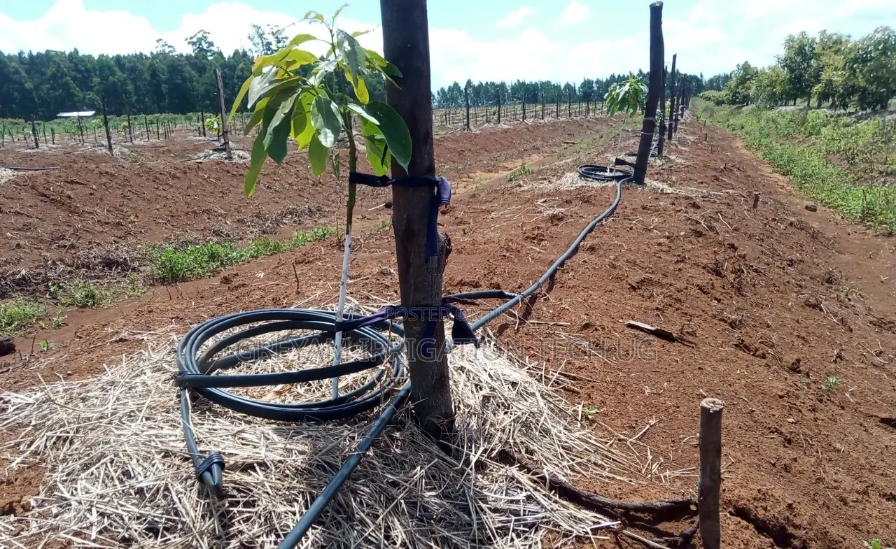 Avocado Drip Irrigation Kit for 1 Acre