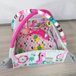 Baby Activity Gym And Ball Pit