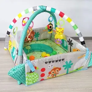 Baby Activity Gym And Ball Pit