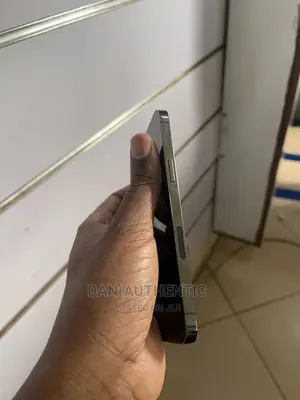 Apple iPhone 12 Pro Max 256 GB Black