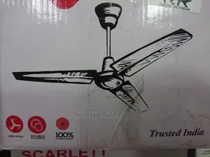 Ceiling Fans