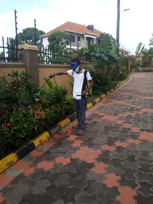 Fumigation of Houses, Cars and Compound