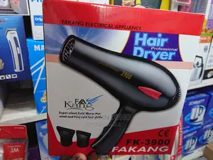 Fakang Hand Held Hair Dryer
