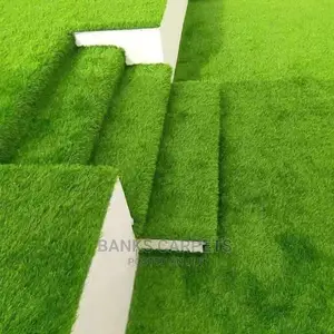 Artificial Grass