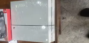 PS4 Standard White Color