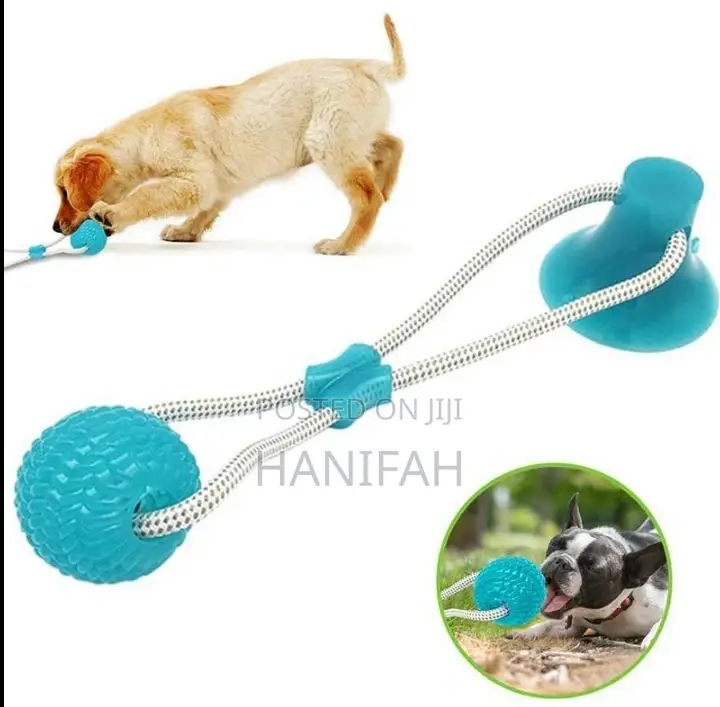 Dog Interactive Push Up Cup