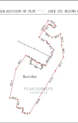 Professional Land Surveyor