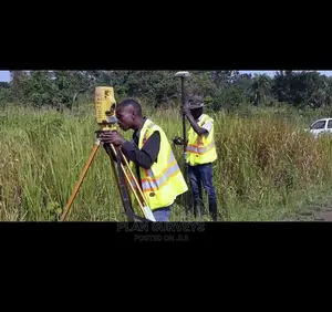Professional Land Surveyor