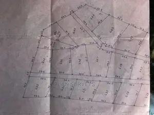 Professional Land Surveyor